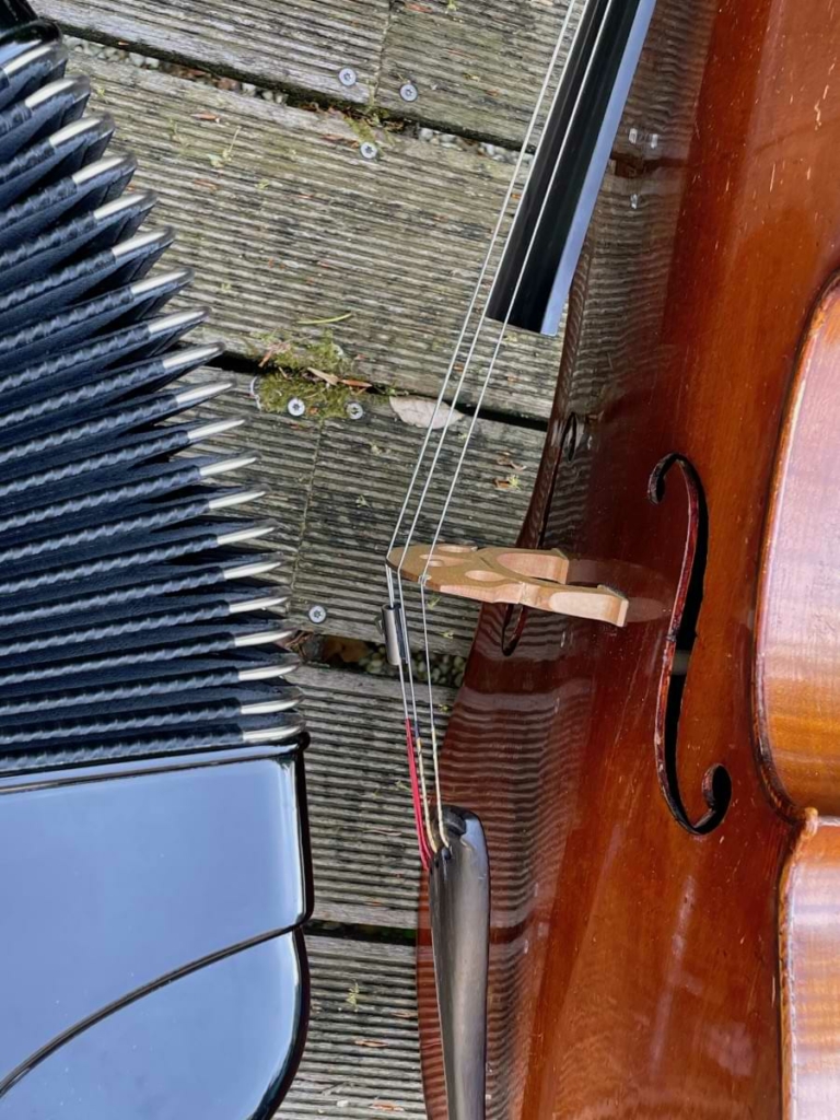 Akkordeon und Cello Ansicht von der Seite