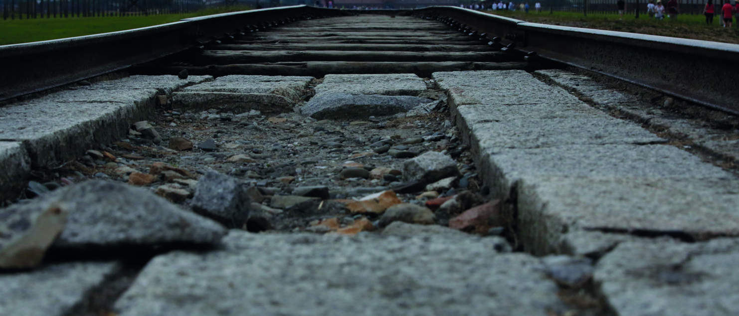 Eisenbahngleise - auf dem Gelände des ehemaligen Konzentrationslagers Auschwitz.